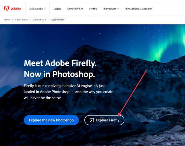 Adobe Firefly Adobe Firefly