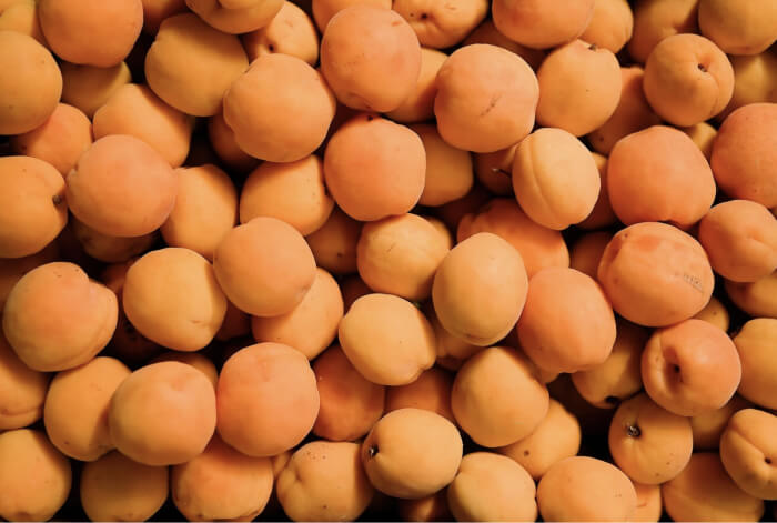 2024流行色Apricot Crush杏桃色2.jpg 2024流行色Apricot Crush杏桃色2.jpg