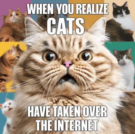 Ideogram 1.0更新丨将文本转图像能力提升到新高度7.png