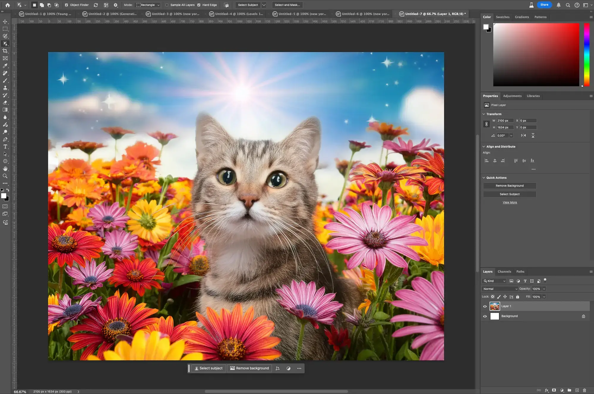 Adobe Photoshop 最新更新丨全新选择和调整工具_6.webp Adobe Photoshop 最新更新丨全新选择和调整工具_6.webp
