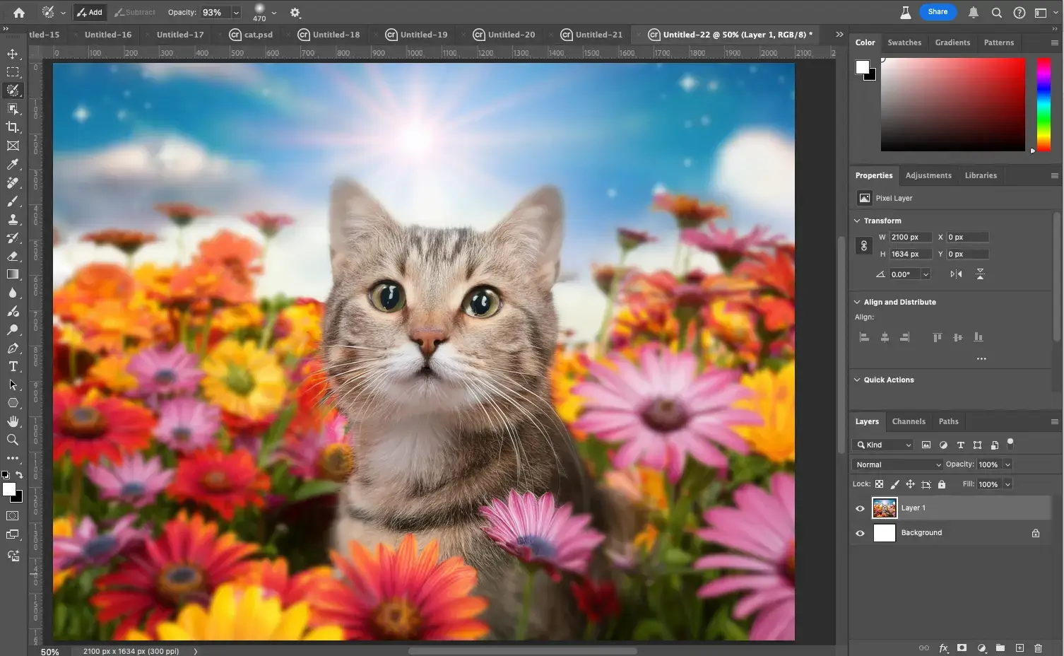 Adobe Photoshop 最新更新丨全新选择和调整工具_13.webp Adobe Photoshop 最新更新丨全新选择和调整工具_13.webp