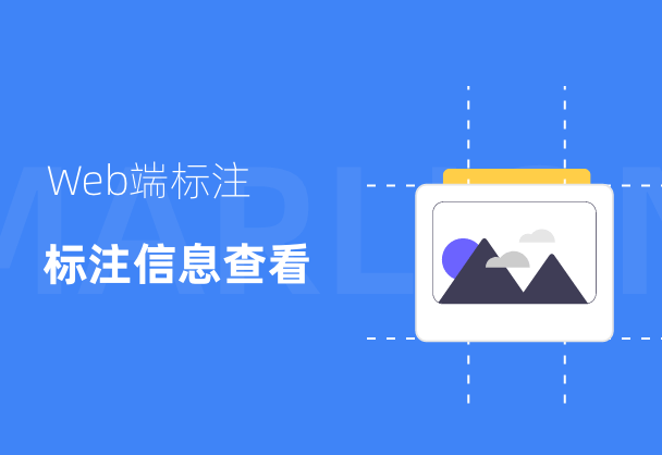 标记狮Web端标注信息查看
